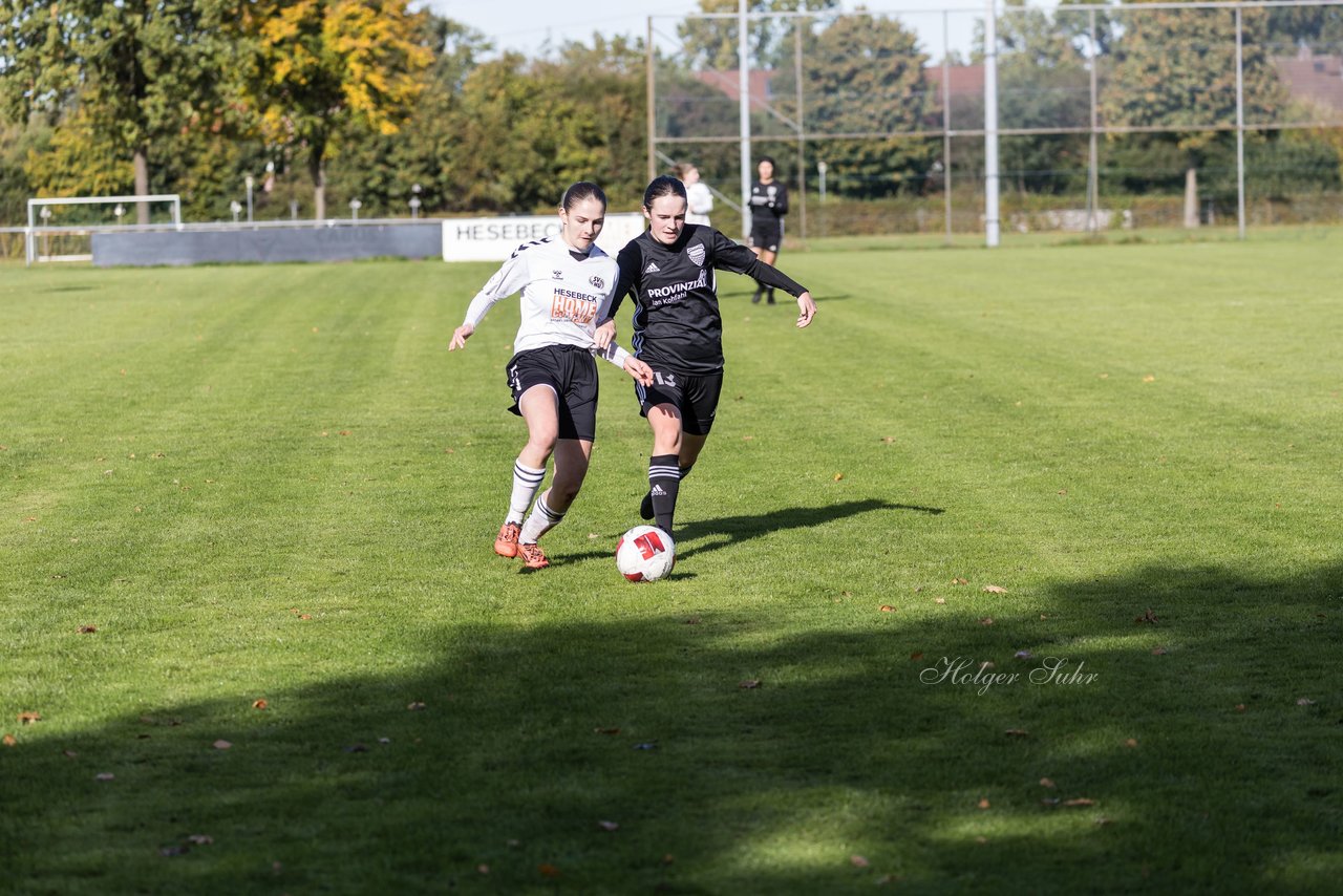 Bild 383 - F SV Henstedt Ulzburg2 - FSG Kaki-StuSie : Ergebnis: 2:2